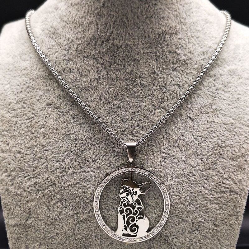 Coleira Bulldog Americano Vintage