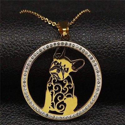 Coleira Bulldog Americano Vintage