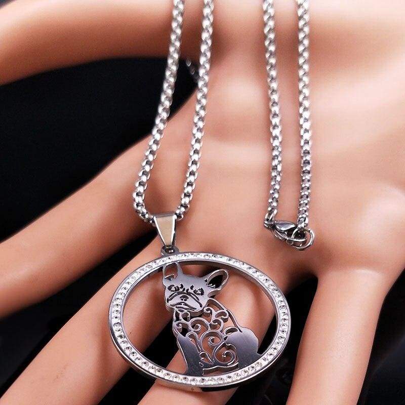 Coleira Bulldog Americano Vintage