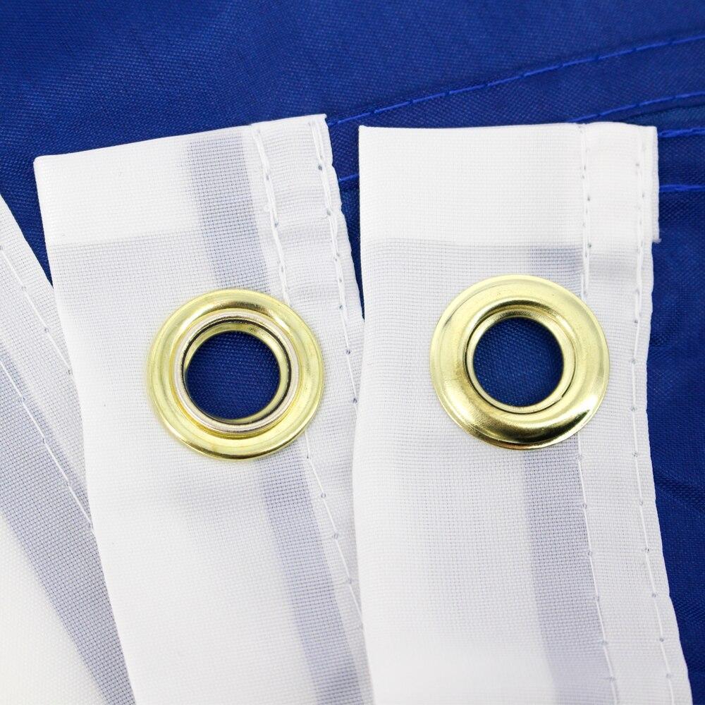 Bandeira Vintage Da Carolina Do Sul