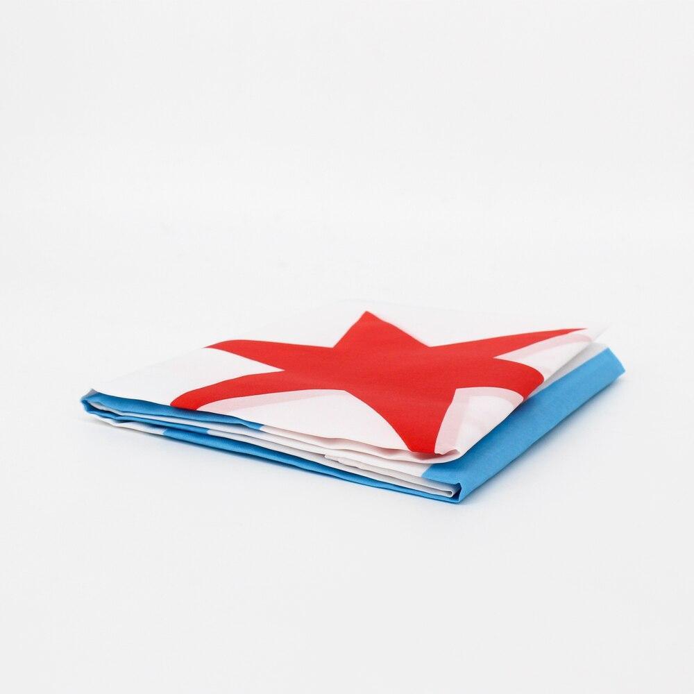 Bandeira Vintage De Chicago