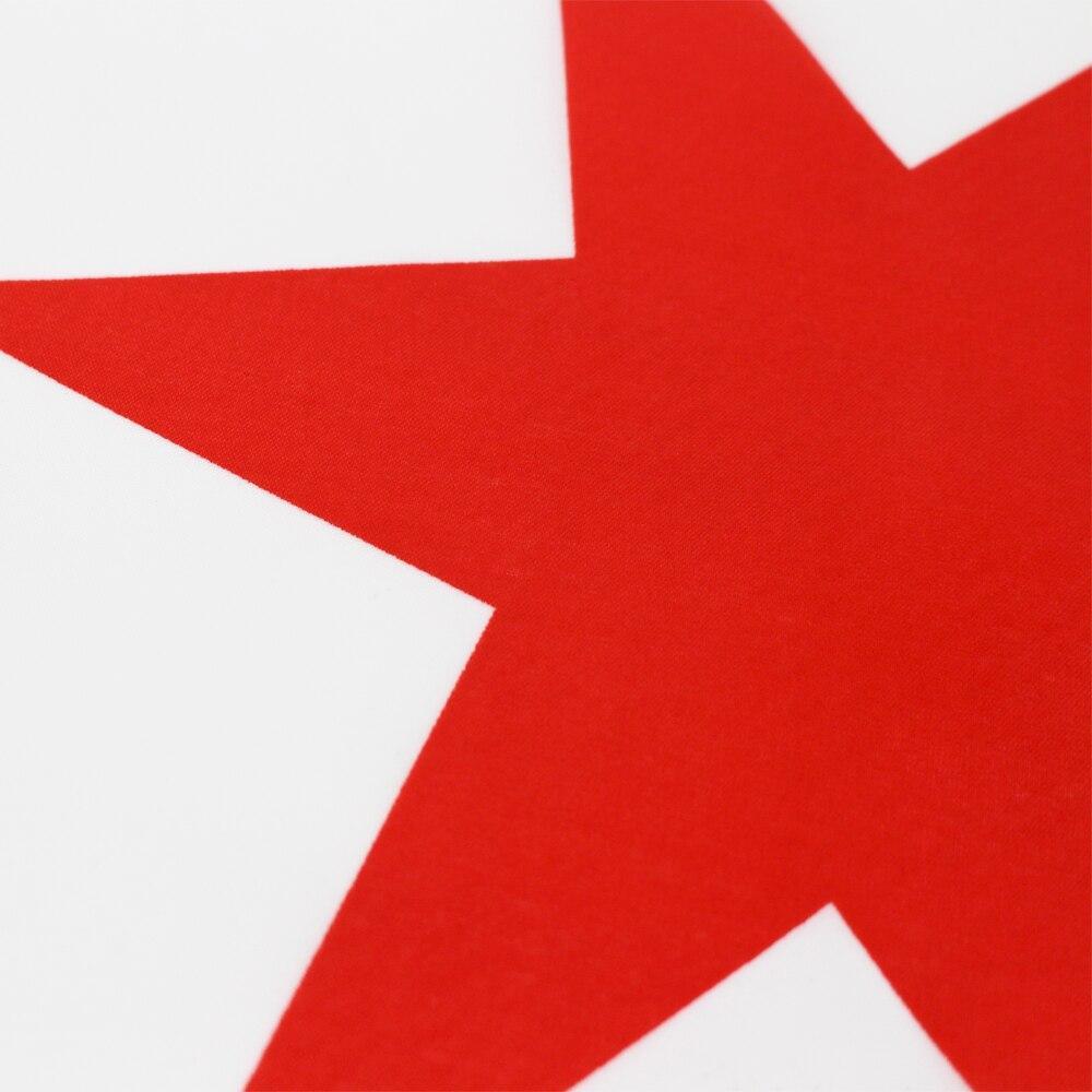 Bandeira Vintage De Chicago