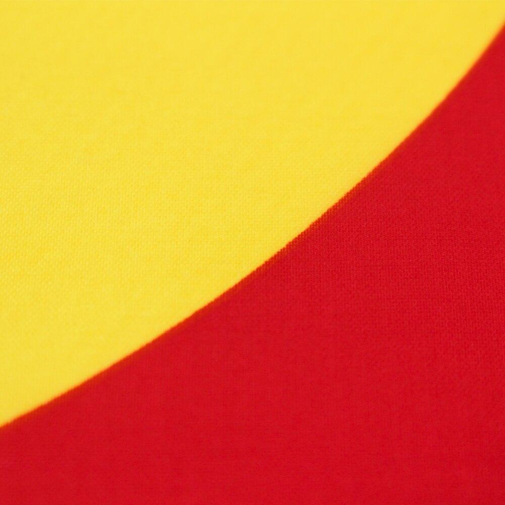 Bandeira Vintage Do Colorado