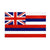 Bandeira Vintage Do Havaí