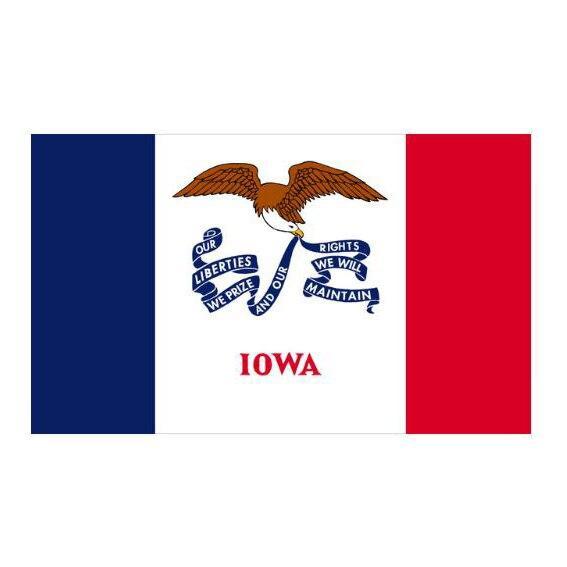 Vintage Bandeira De Iowa