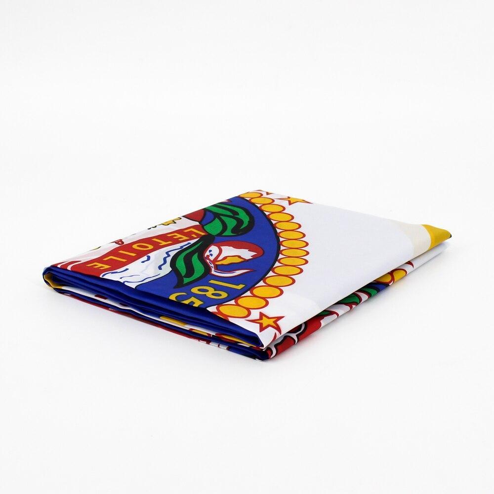 Bandeira Vintage De Minnesota