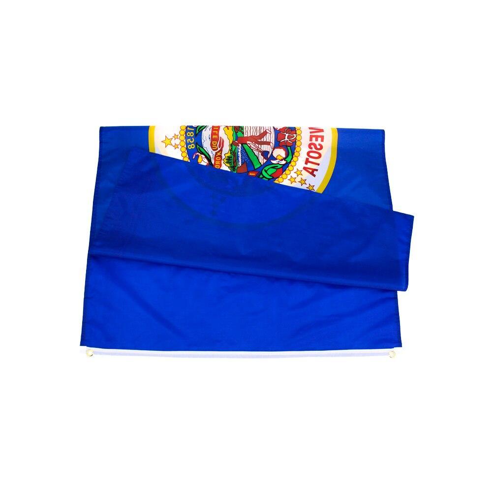 Bandeira Vintage De Minnesota