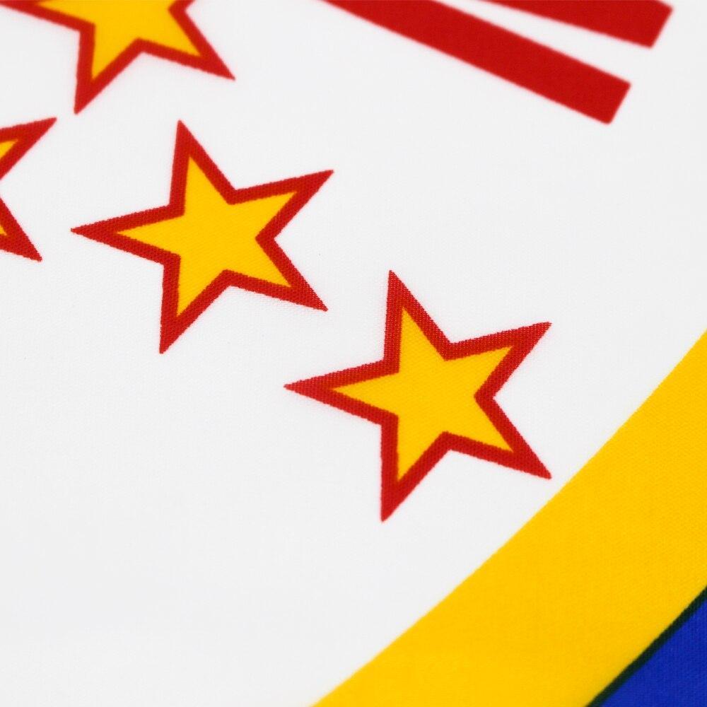 Bandeira Vintage De Minnesota