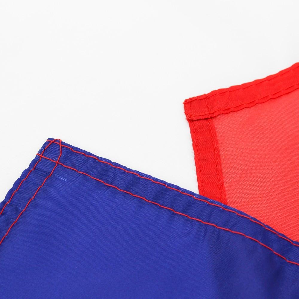 Bandeira Vintage Do Mississippi