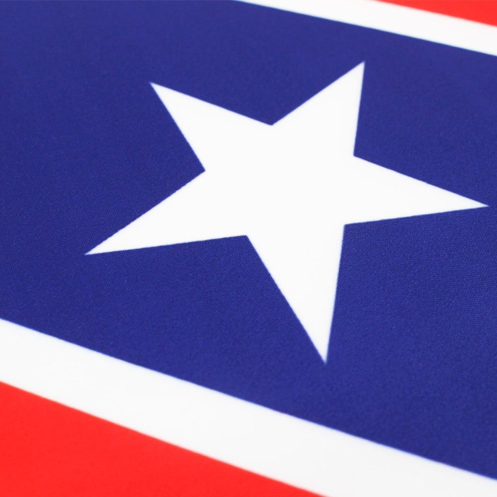 Bandeira Vintage Do Mississippi