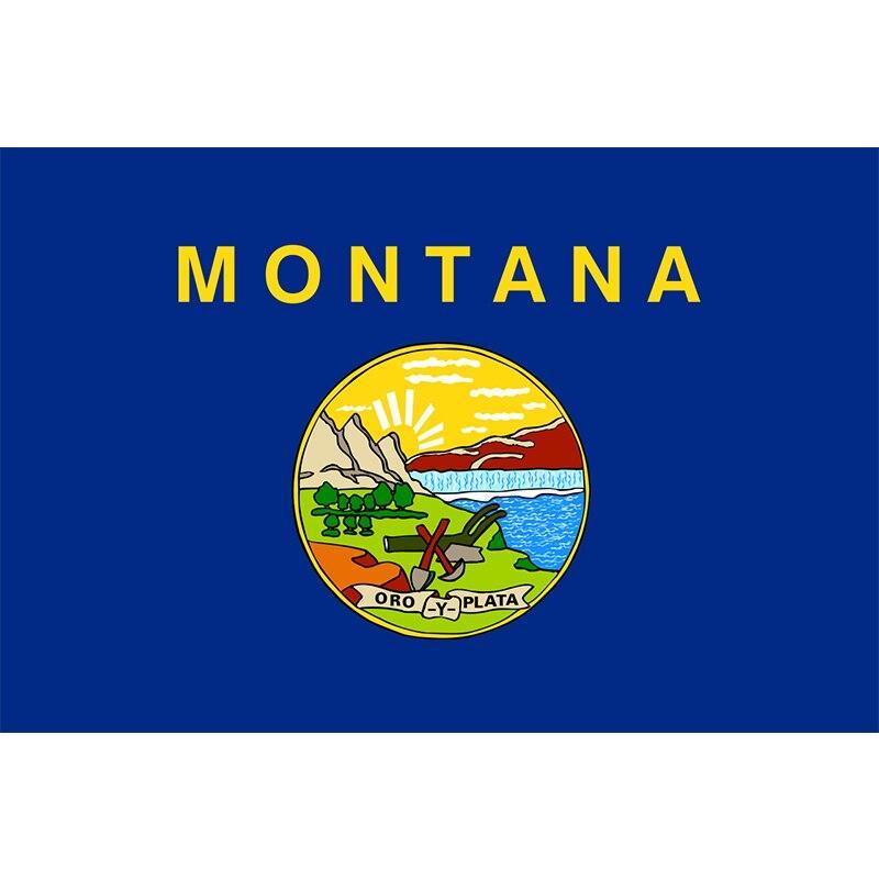 Bandeira Vintage De Montana
