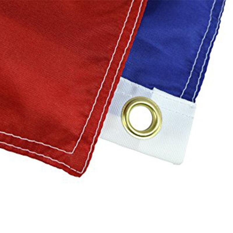 Bandeira Vintage Do Texas