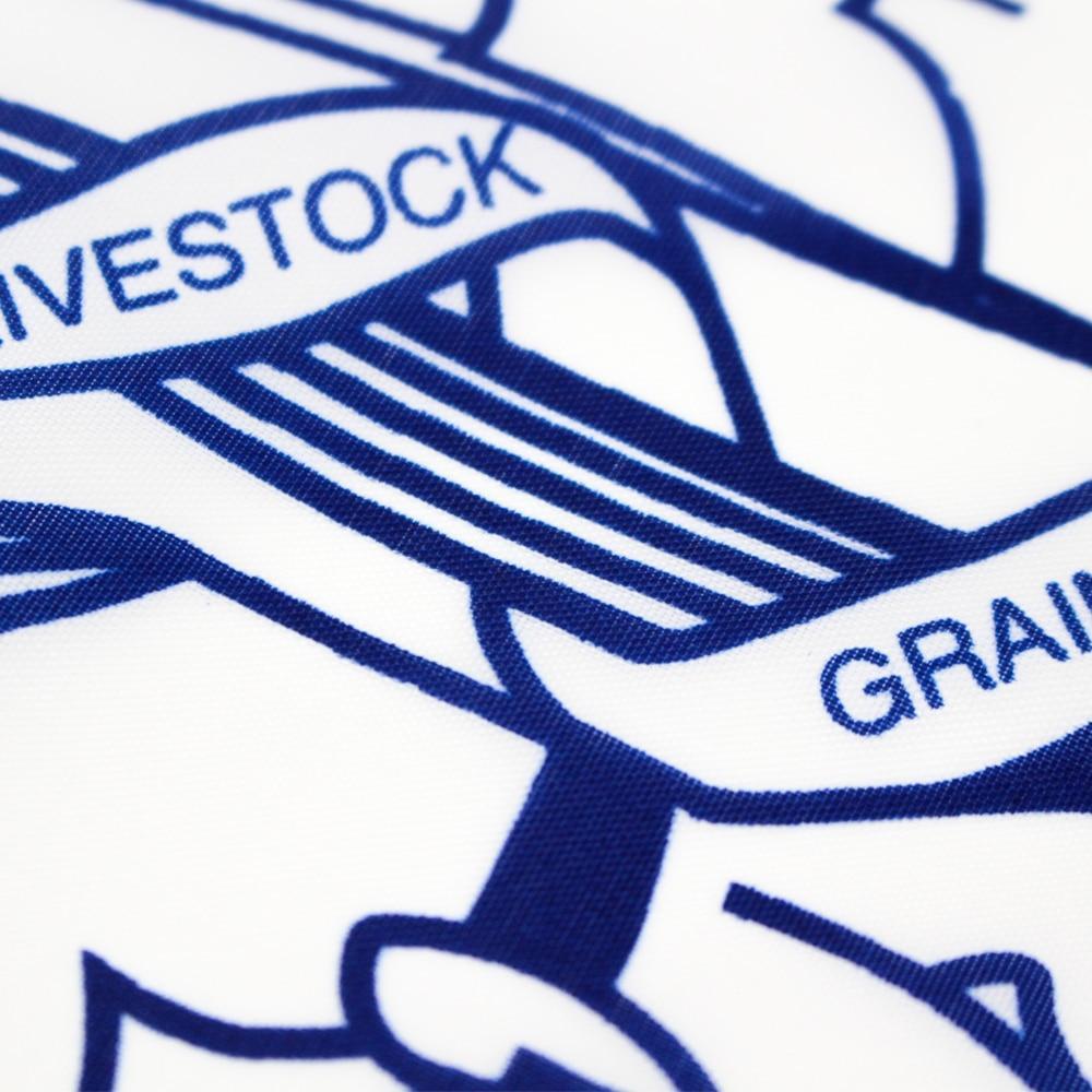 Bandeira Vintage De Wyoming