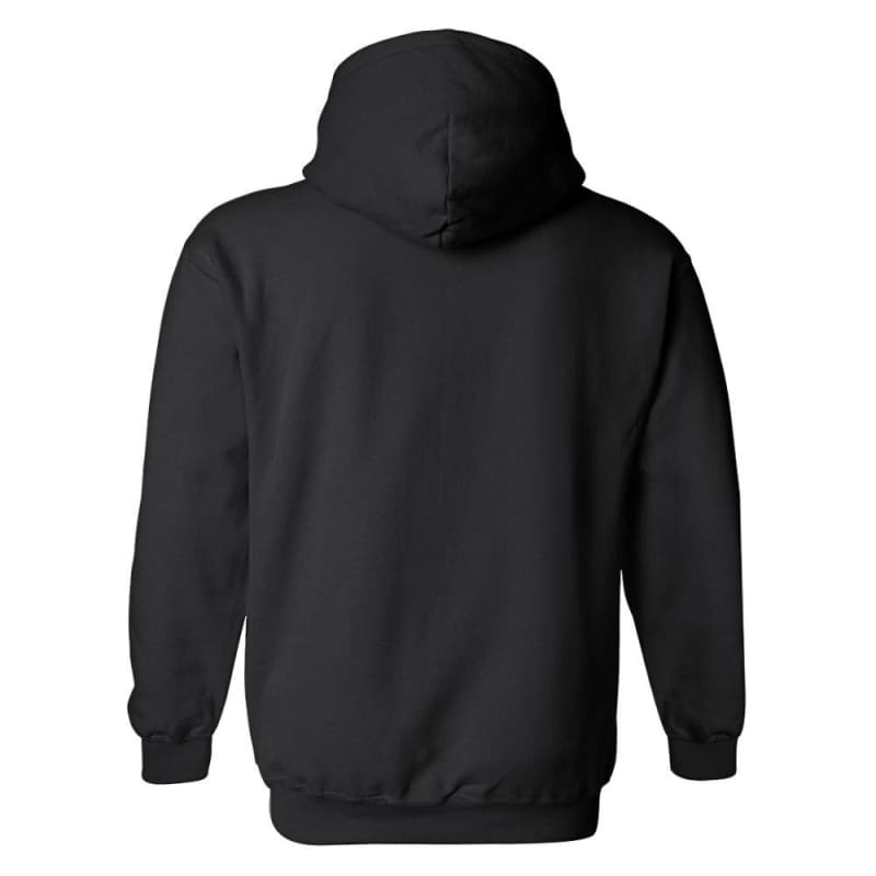 Moletom Vintage Eua Apollo