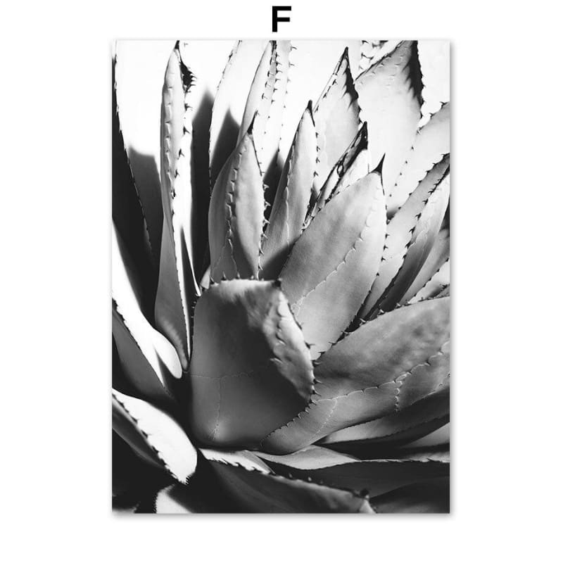 Pintura Vintage Do Grand Canyon